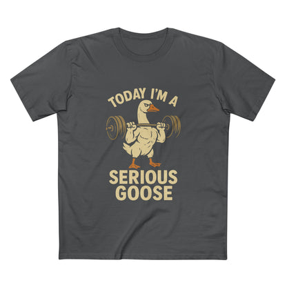 Serious Goose Tee