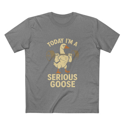 Serious Goose Tee