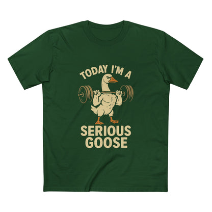Serious Goose Tee