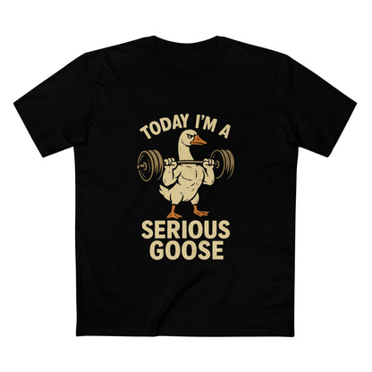 Serious Goose Tee